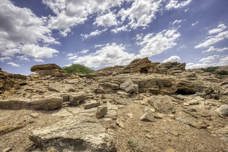 Damiya Dolmen Field