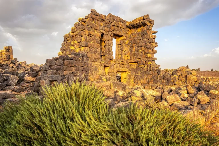 A ruined basalt building with windows, behind green plants, Umm El-Jimal, Jordan