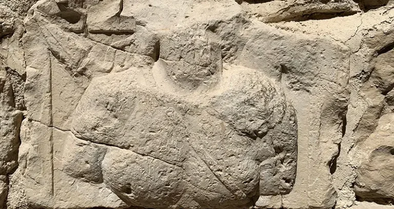 Ancient Nabataean Relief Discovered in Karak Castle’s Walls
