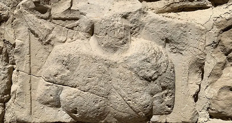 Nabataean Relief at Karak Castle