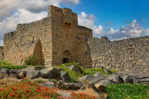 The basalt gate tower and walls above spring flowers, Qasr Azraq, Jordan