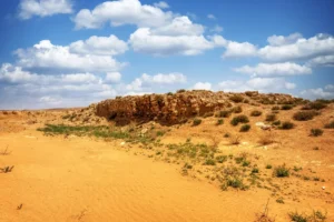 The qasr seen across sandy ground and green shoots, Qasr Mshash, Jordan