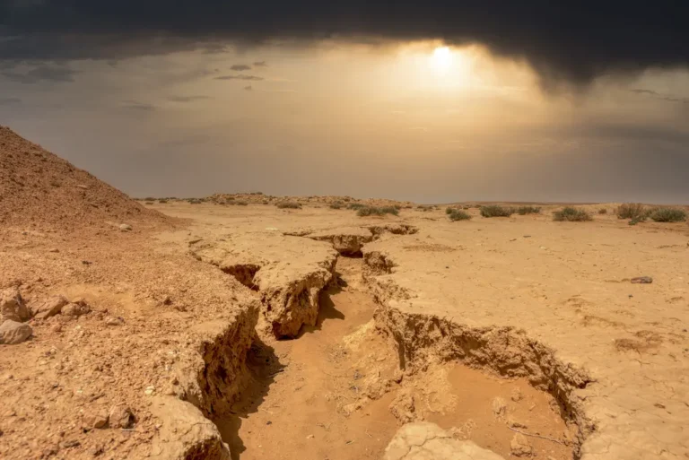 Qasr Mshash-38