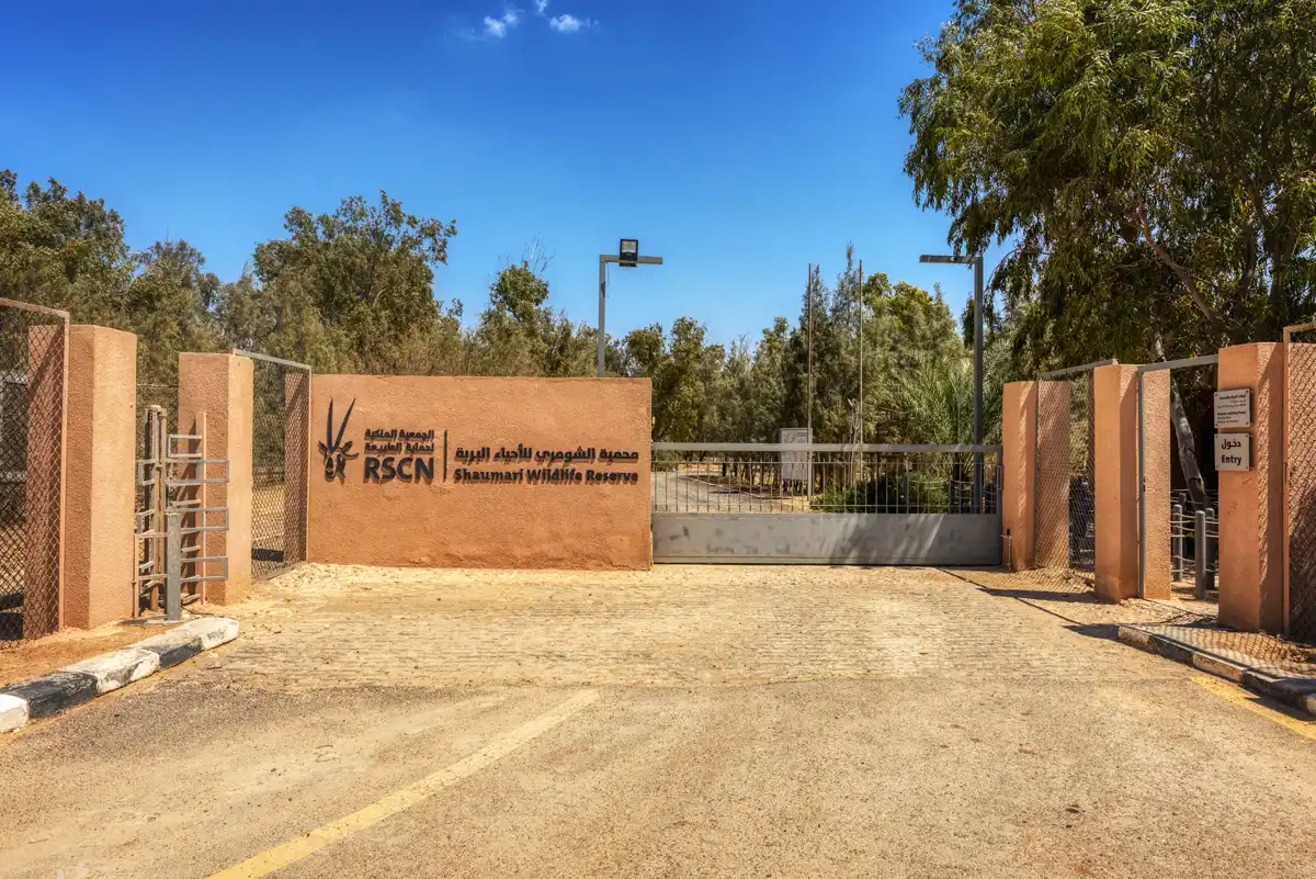 Shaumari Wildlife Reserve, Jordan