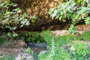 Moses Spring