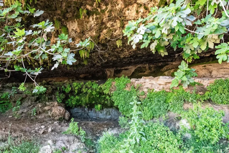 Moses Spring