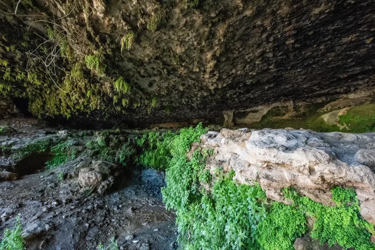Moses Spring