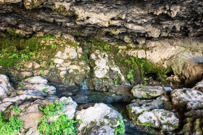 Moses Spring