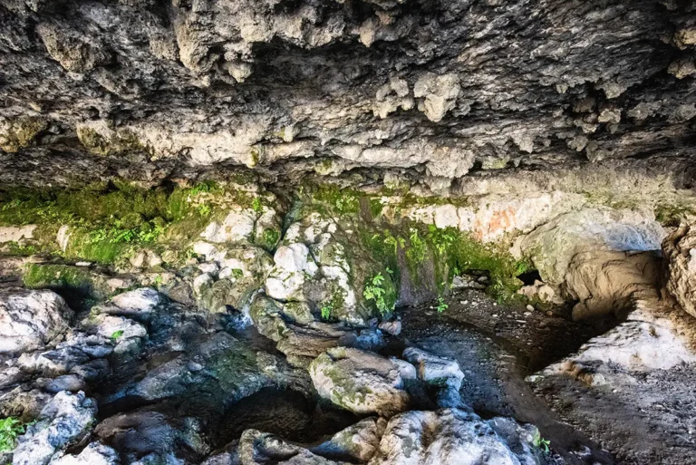 Moses Spring