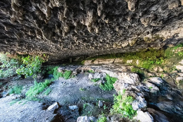 Moses Spring