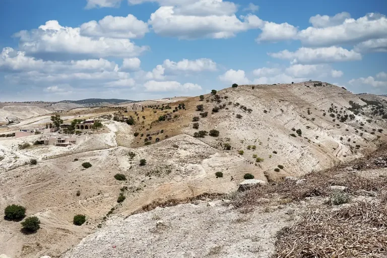 Acropolis (Tell al-Husn)