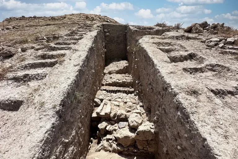 Acropolis (Tell al-Husn)