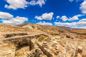 Acropolis (Tell al-Husn)