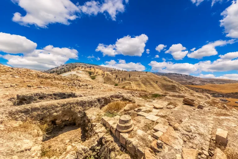 Acropolis (Tell al-Husn)