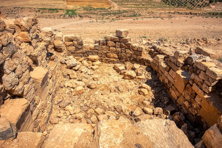 Castle El-Lejjun (Betthorus)