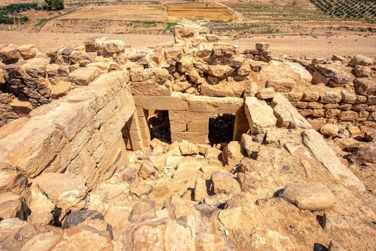 Castle El-Lejjun (Betthorus)
