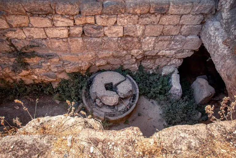 Oil Press