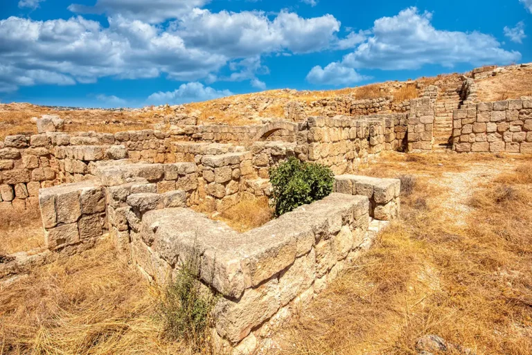 Umayyad Houses