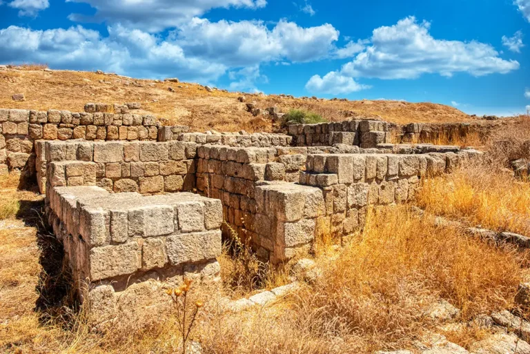 Umayyad Houses
